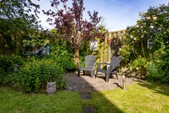 Tuin 2.jpg